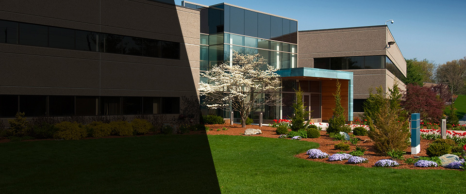 South Ozone Park Landscapers