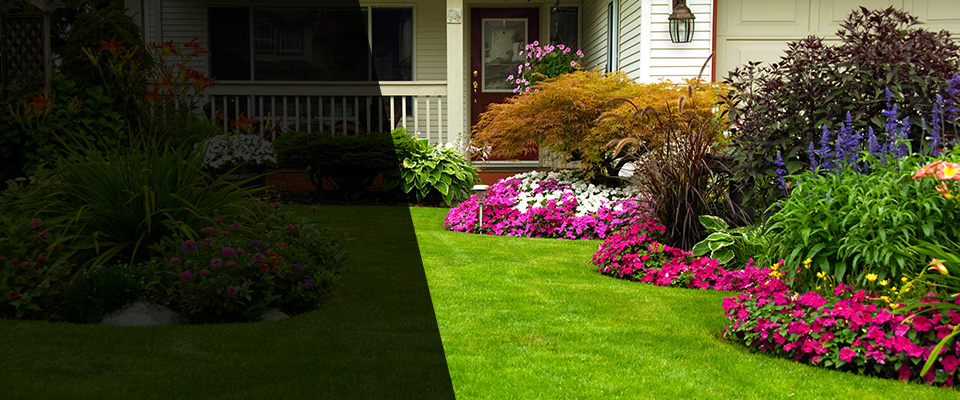 South Ozone Park Landscapers