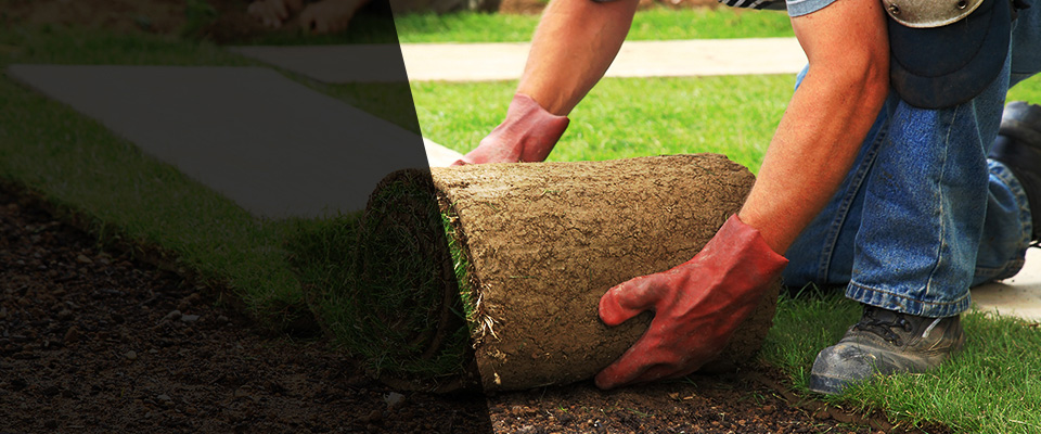 South Ozone Park Landscapers